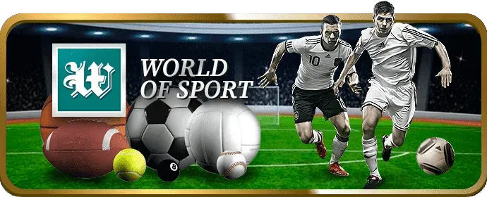 Đội ngũ hỗ trợ của 88go casino